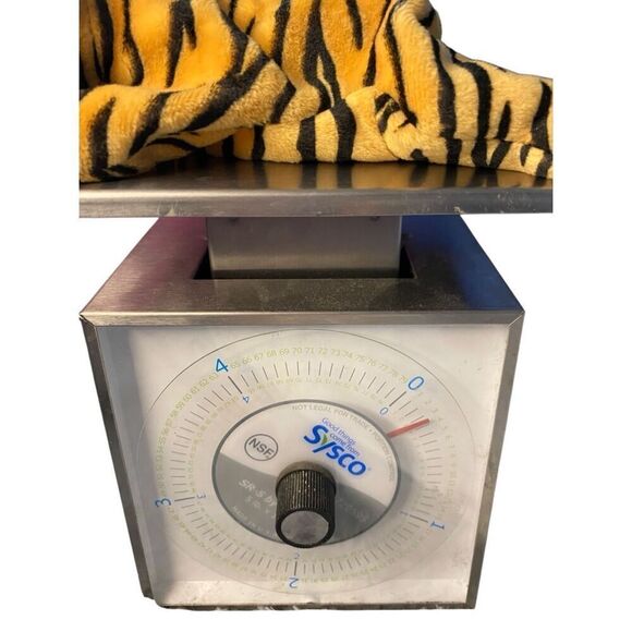 Stripes the Tiger Style 4065 Ty 1995 Beanie Baby Plush Collectible Nostalgia Stu - Picture 11 of 11